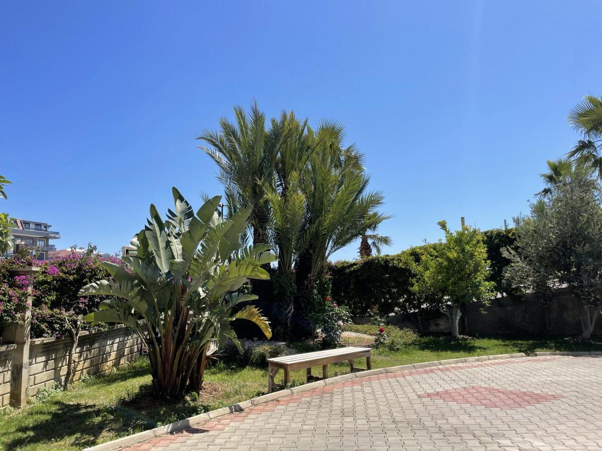 Sa Apartments! 300M To The Beach Αλάνια Εξωτερικό φωτογραφία